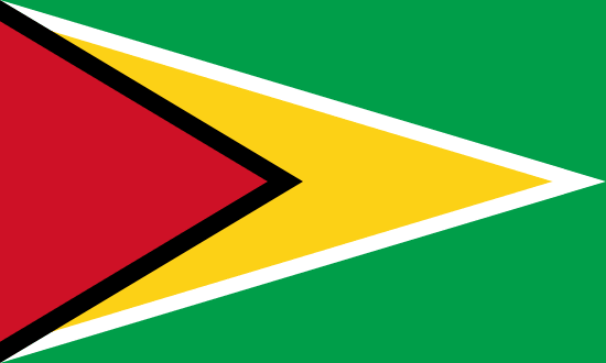 Чемпионат Гайаны по футболу