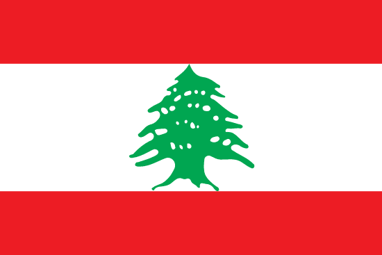 Кубок Ливана по футболу