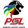 Чемпионат Южной Африки по футболу. Премьер-лига