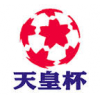 Кубок Японии по футболу