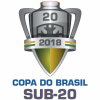 Кубок Бразилии по футболу U20