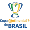 Кубок Бразилии по футболу