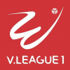 Чемпионат Вьетнама по футболу. V-Лига