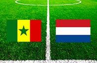 Сенегал - Нидерланды: прогноз и ставка на матч чемпионата мира 2022 по футболу