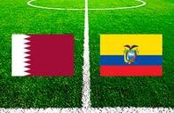 Катар - Эквадор: прогноз и ставка на матч открытия чемпионата мира 2022 по футболу