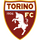 Торино (19)