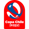 Кубок Чили по футболу