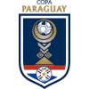 Кубок Парагвая по футболу