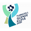 Суперкубок Турции по футболу