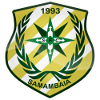 Самамбаия (20)