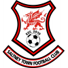 Saltney Town