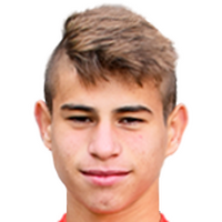 Mitko Mitkov