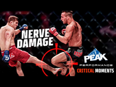 Michael Chandler vs. Brent Primus - Critical Moments in BELLATOR MMA seen clearly by PEAK - EP 3