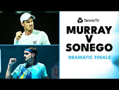 Andy Murray vs Lorenzo Sonego DRAMATIC Finale! | Doha 2023 Highlights