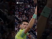 Novak Djokovic INSANE Return Winner 