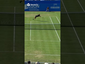 Grigor Dimitrov Hits Insane DIVING Volley Winner 