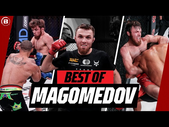 Don't Mess with The TIGER!  | Magomed Magomedov Highlights | Bellator MMA