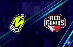 M - RED Canids прогноз на матч Киберспорт.  CS2 - Perfect World Shanghai Major American RMR (12.11.24)