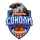 Харьковские Соколы